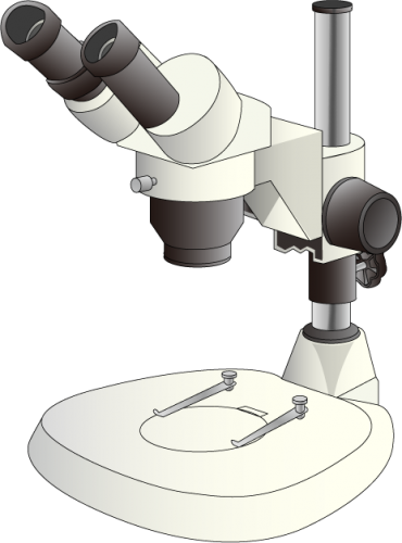 Utilisation d'une loupe binoculaire